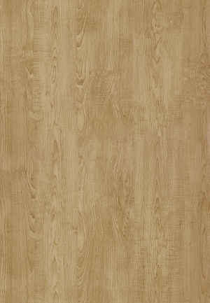 ModernWood Texture