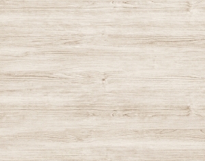 ModernWood Texture