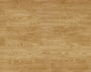 ModernWood Texture