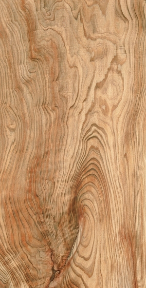 ModernWood Texture