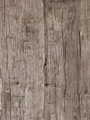 ModernWood Texture