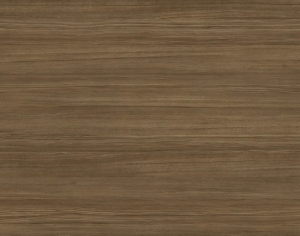 ModernWood Texture