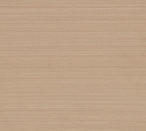 ModernWood Texture