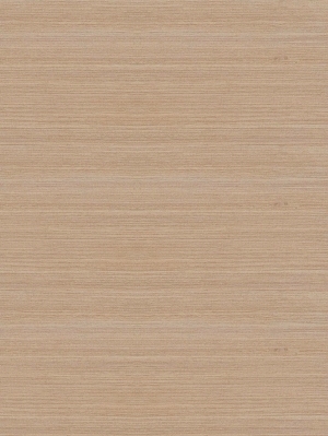 ModernWood Texture