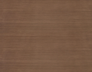 ModernWood Texture