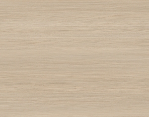 ModernWood Texture