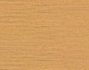 ModernWood Texture