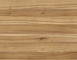 ModernWood Texture