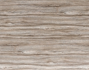 ModernWood Texture