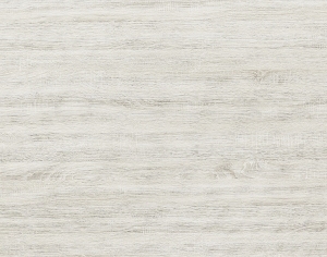 ModernWood Texture