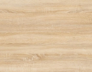 ModernWood Texture