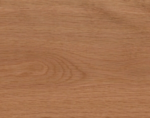 ModernWood Texture