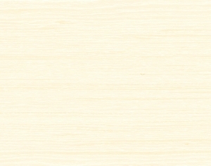 ModernWood Texture