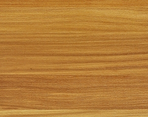 ModernWood Texture