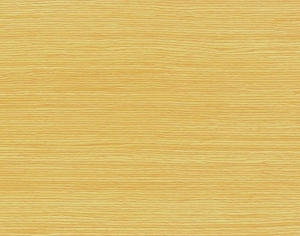 ModernWood Texture