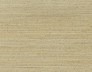 ModernWood Texture