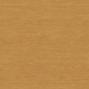 ModernWood Texture