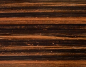 ModernWood Texture