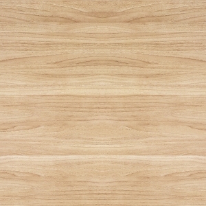 ModernWood Texture