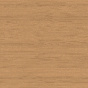 ModernWood Texture