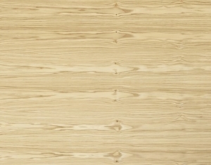 ModernWood Texture