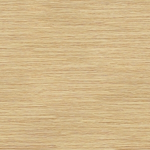 ModernWood Texture