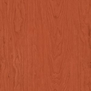 ModernWood Texture