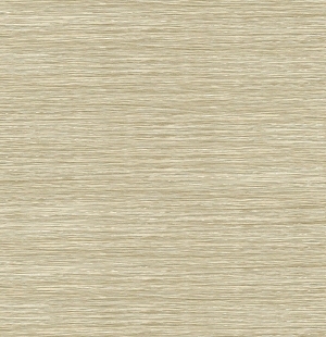 ModernWood Texture