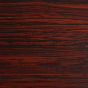 ModernWood Texture