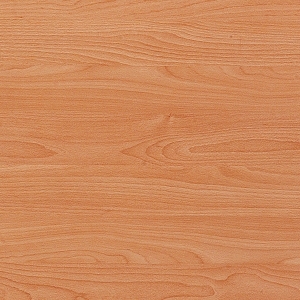 ModernWood Texture