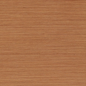 ModernWood Texture