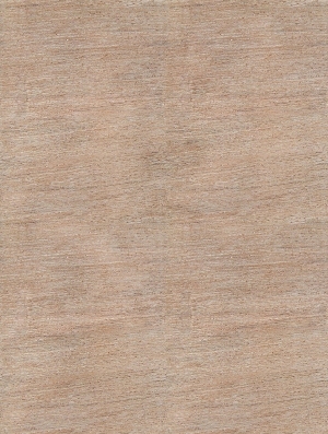 ModernWood Texture