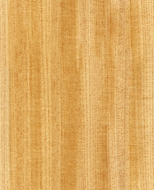 ModernWood Texture