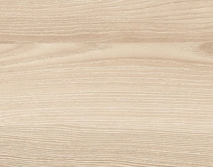 ModernWood Texture