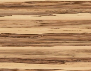 ModernWood Texture