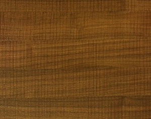 ModernWood Texture