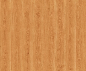 ModernWood Texture