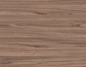 ModernWood Texture