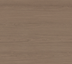 ModernWood Texture