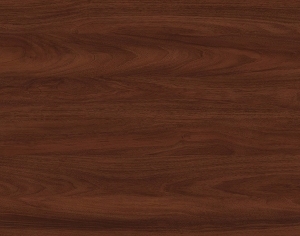 ModernWood Texture