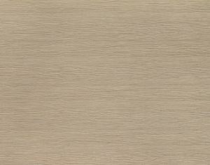 ModernWood Texture