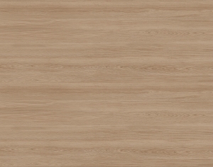 ModernWood Texture