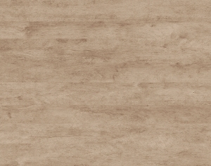 ModernWood Texture