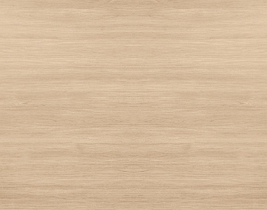 ModernWood Texture