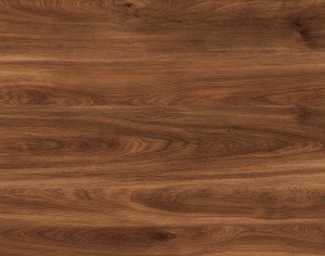 ModernWood Texture