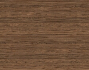 ModernWood Texture