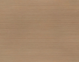 ModernWood Texture