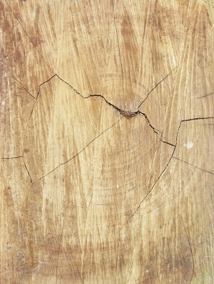 残旧木树皮贴图-ID:5820918