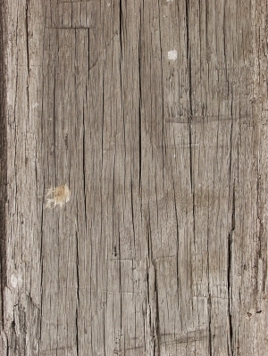 残旧木树皮贴图-ID:5820924