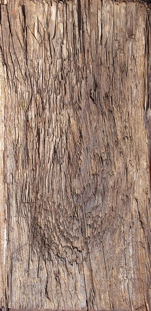 残旧木树皮贴图-ID:5820932